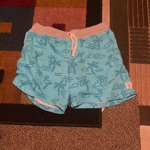 Chubbies Summer Shorts